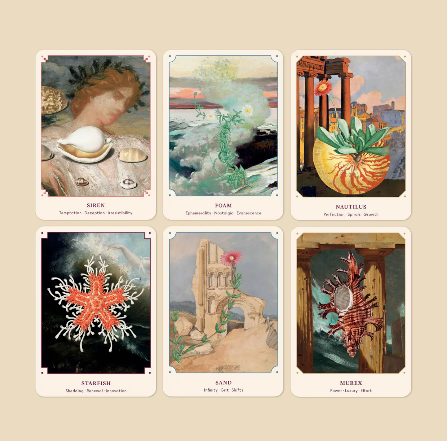 The Seashell Oracle | 44 Card Deck and Guidebook | Ritual Apothecary